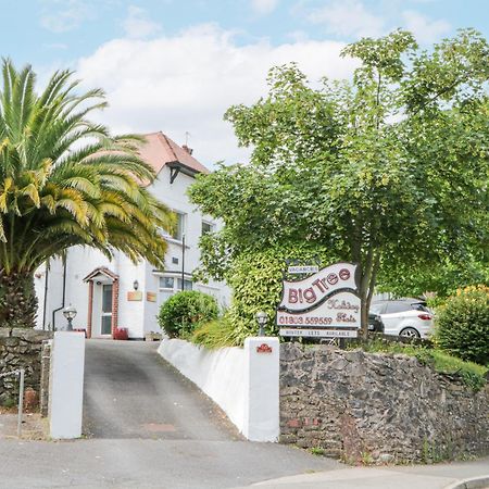 Flat 5, Big Tree Holiday Flats Paignton Exterior foto