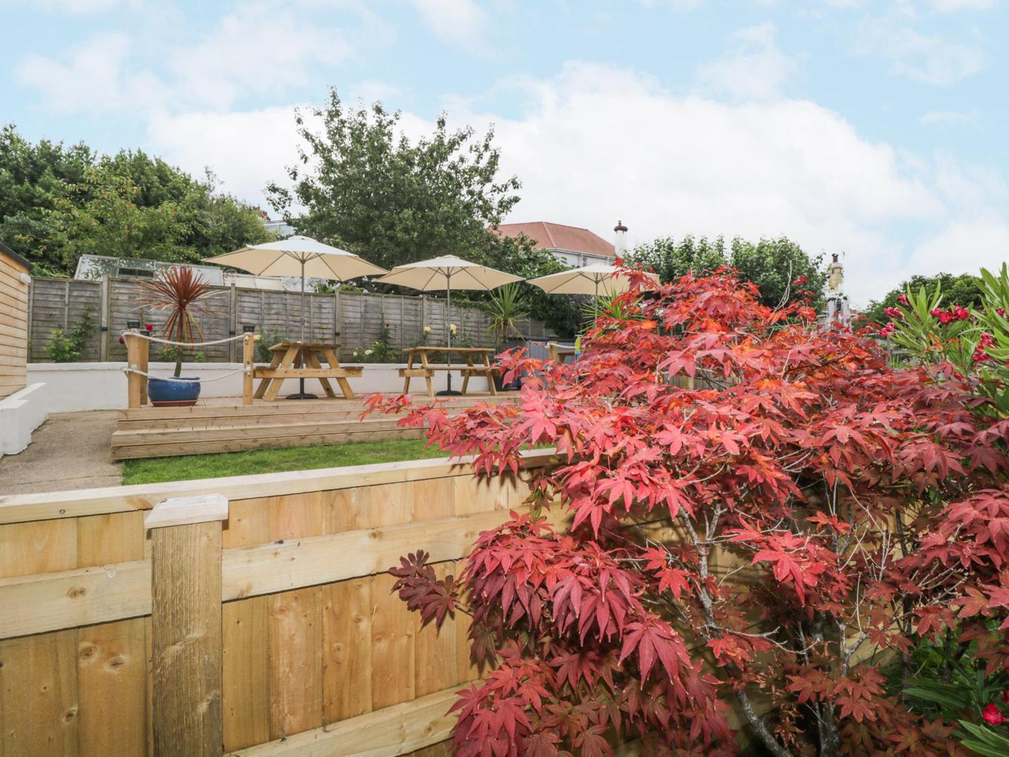 Flat 5, Big Tree Holiday Flats Paignton Exterior foto